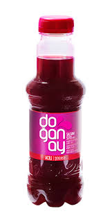 DOGNAY SALGAM HOT 300ML