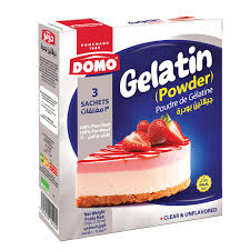 DOMO GELATIN POWDE4R 30G
