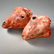 LAMB HEAD