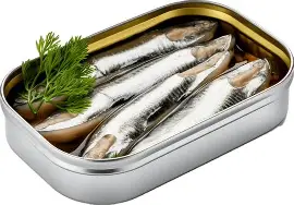 SALM SARDINE IN SUNFLWR 12OG