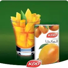 KDD NECTAR MANGO 1L